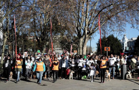 ep algunos de los participantes de la carrera sanperrestre 2019 organizada por la protectora el