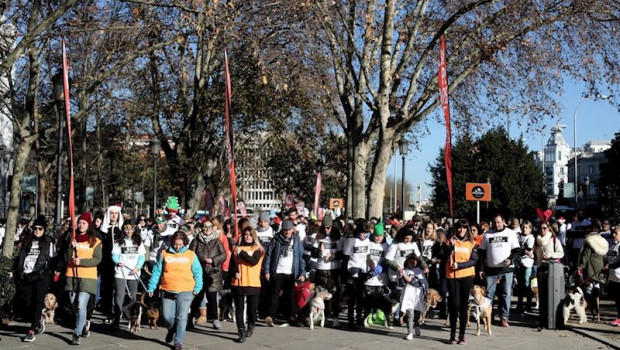 ep algunos de los participantes de la carrera sanperrestre 2019 organizada por la protectora el