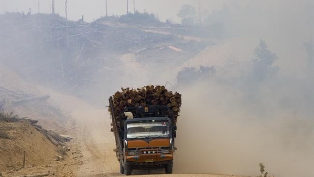 ep deforestacionindonesia