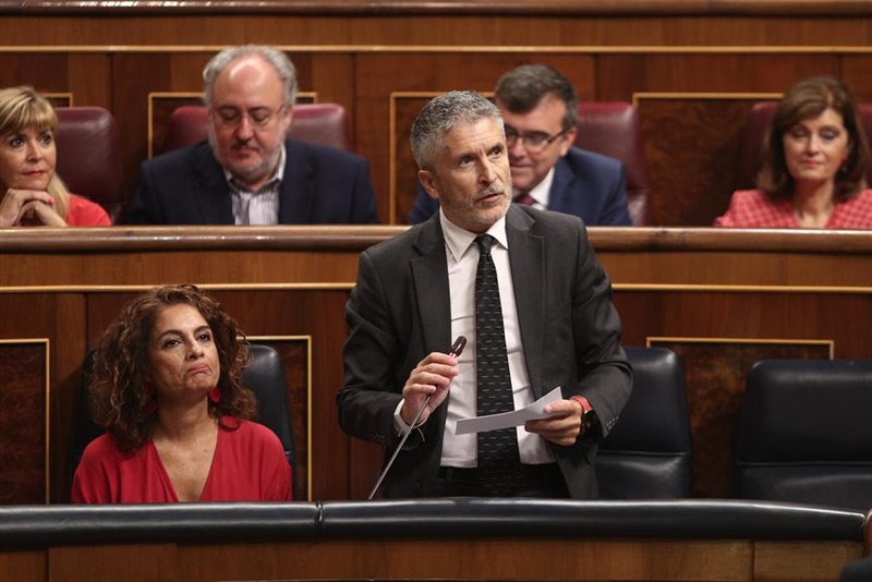 ep el ministro del interior en funciones fernando grande-marlaska en el pleno del congreso
