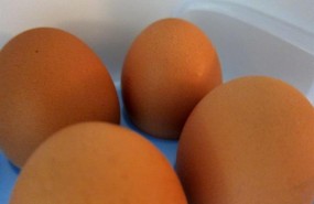 ep huevos salmonela
