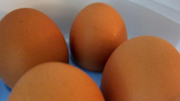 ep huevos salmonela