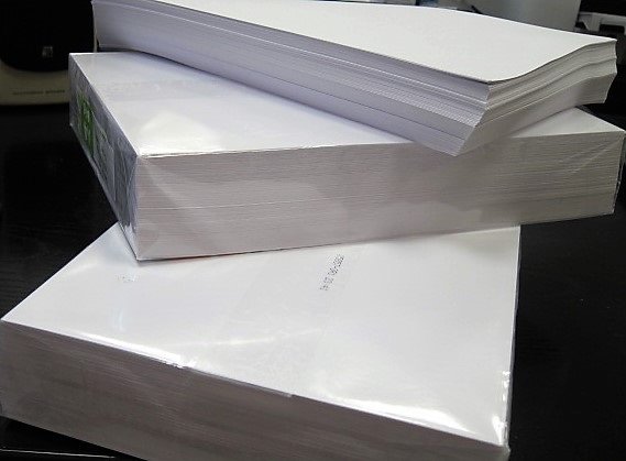 ep iberpapel gana 217 millones en 2019 un 14 menos por la presion en el mercado de la celulosa