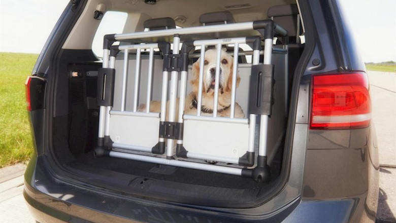 Imagen de un perro en el maletero de un vehículo. | RACE ep imagen de un perro en el maletero de un vehiculo