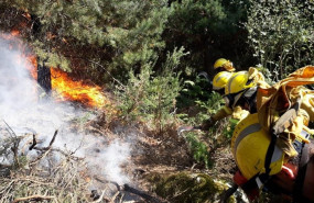 ep inc- un total11 medios aereos68 personasenfuegola granjaafectaunas 40 hectareas