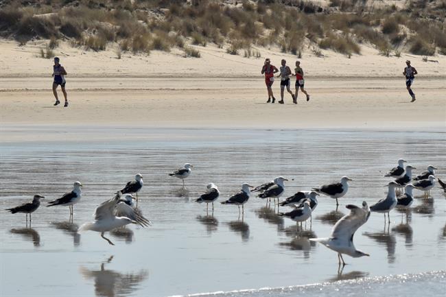 Triatletas transitando el Parque Natural de Doñana. | JUNTA DE ANDALUCÍA. ep triatletas transitandoparque naturaldonana