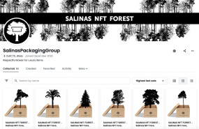 salinas coleccin nft