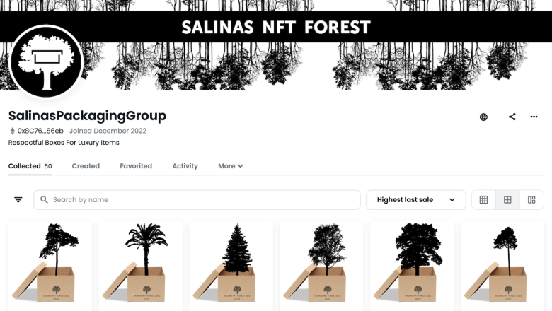 salinas coleccin nft