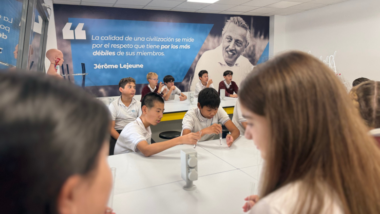 sin ttulo 2016 x 1512 px 20251010155356 