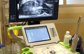 1581446088 prostata ultrasonidos