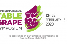 1581684855 sin t tulo