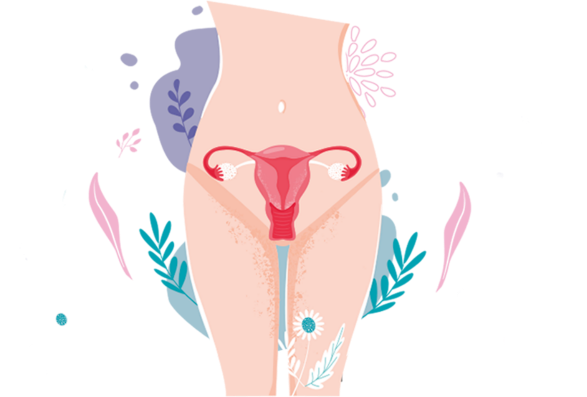 1637049038 02 c ncer de c rvix