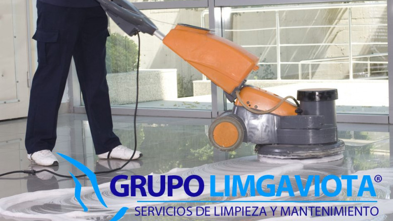 1643372226 puligaviota