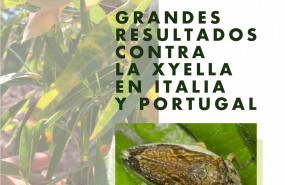 1645523679 foto life almendro y xyella 