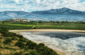 1 premio laguardia 1 premio laguardia