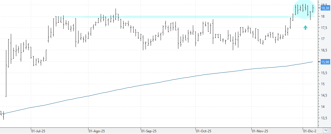 c051225neinor c051225neinor