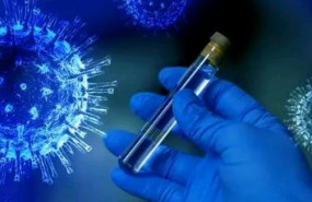 cbinmunidad virus