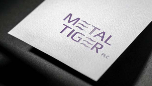 dl metal tiger plc aim financials financial services inverstment banking and brokerage services diversified financial services logo