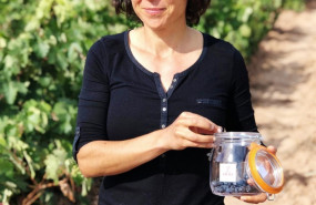 ep alejandra rubio tecnica del consejo regulador de la denominacion de origen rioja analiza el