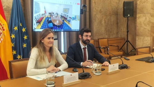 ep archivo   la vicepresidenta tercera y ministra para la transicion ecologica y el reto demografico 20250807111903