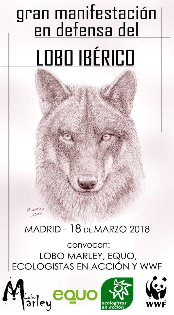 Cartel de la "Gran manifestación en defensa del Lobo Ibérico" | ECOLOGISTAS EN ACCIÓN ep cartella gran manifestaciondefensalobo iberico