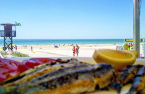 ep gastrononmia y playa en cadiz