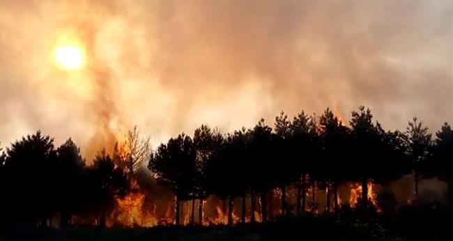 Incendio en Grandas de Salime. | VÍDEO DE NOELIA PARRONDO. ep incendiograndassalime