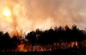 ep incendiograndassalime