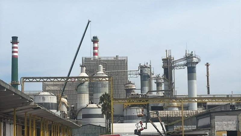 Ence acuerda un ERE para hasta 57 trabajadores dentro de su plan de eficiencia