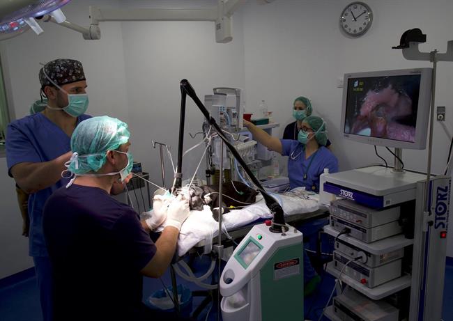 La técnica utiliza sistemas artificiales para reproducir organismos vivos | AUNA ep la tecnica utiliza sistemas artificialesreproducir organismos vivos