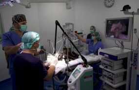 ep la tecnica utiliza sistemas artificialesreproducir organismos vivos