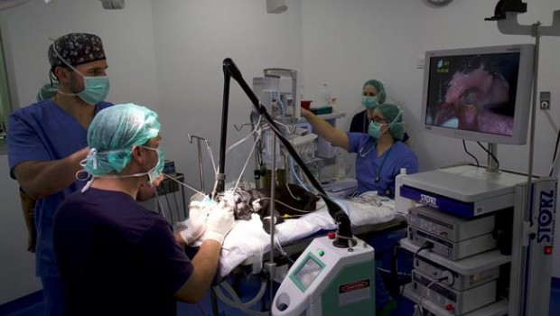 ep la tecnica utiliza sistemas artificialesreproducir organismos vivos
