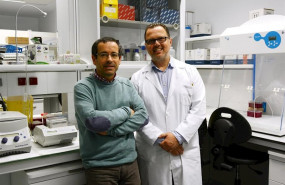 ep los doctores antonio salas usc y federico martinon chus autores de una investigacion sobre los ep los doctores antonio salas usc y federico martinon chus autores de una investigacion sobre los