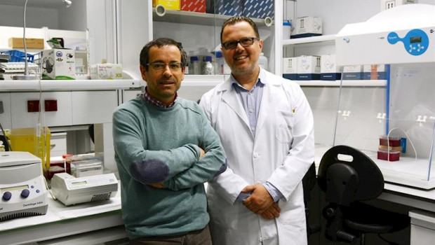 ep los doctores antonio salas usc y federico martinon chus autores de una investigacion sobre los