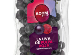 ep paquete de boombites