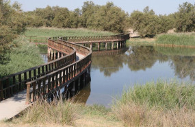 ep parque nacional de las tablas de daimiel ciudad real