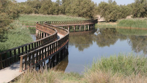 ep parque nacional de las tablas de daimiel ciudad real