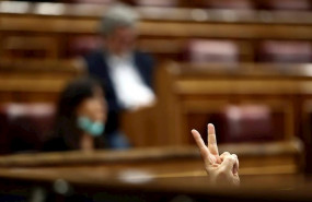 ep un diputado marca votacion en el pleno del congreso