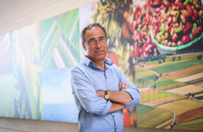 ep vicente domingo director general de vegetales