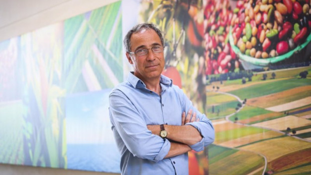 ep vicente domingo director general de vegetales