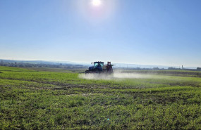 foto aplicacin de herbicidas y bioestimulantes en finca experimental del proyecto life innocereal eu 