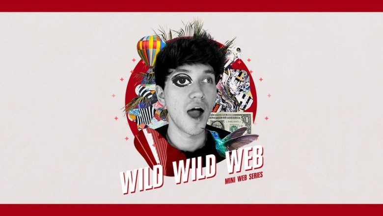 1613655695 wild wild web