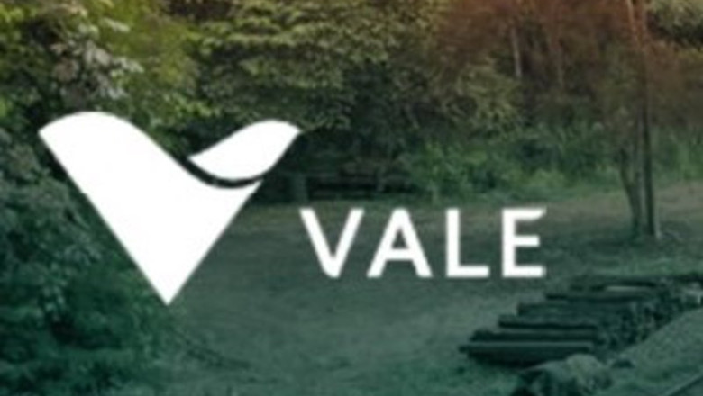 Archivo - La brasileña Vale. | VALE - Archivo ep archivo la brasilena vale