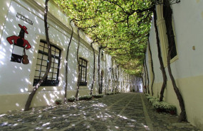 ep calle ciegos en gonzalez byass