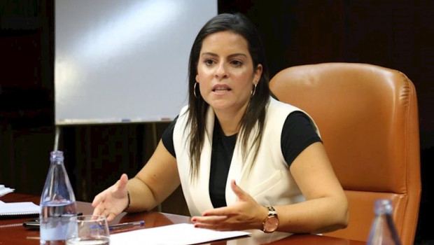 ep consejera de turismo del gobierno de canarias yaiza castilla