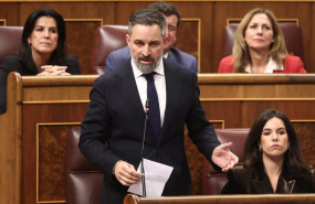 ep el presidente de vox santiago abascal en una sesion de control al gobierno en el congreso de los