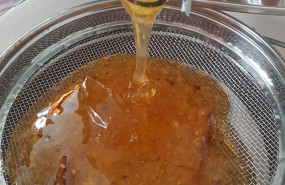ep extraccion en frio de la miel de un apicultor