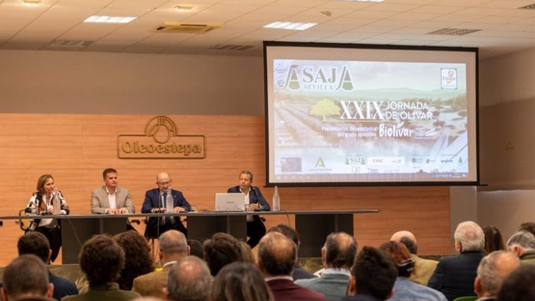 ep inauguracion de la xxix jornada de olivar de asaja sevilla que se celebro en estepa en ep inauguracion de la xxix jornada de olivar de asaja sevilla que se celebro en estepa en