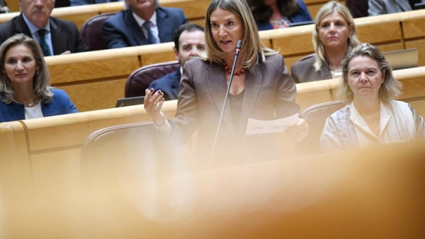 ep la portavoz del pp en el senado alicia garcia interviene durante una sesion de control al ep la portavoz del pp en el senado alicia garcia interviene durante una sesion de control al
