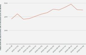 modelos renting anual